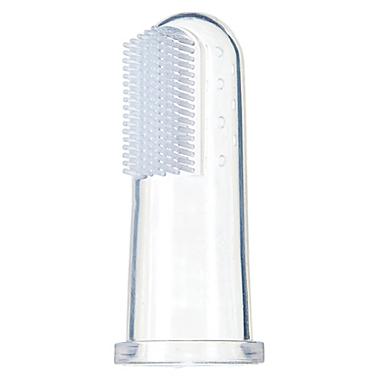 Baby Buddy Finger Toothbrush with Case in Clear. View a larger version of this product image.