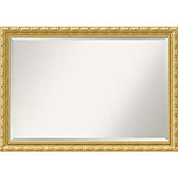 Amanti Versailles 40-Inch x 28-Inch Wall Mirror in Gold