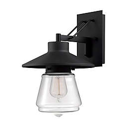 Globe Electric Montgomery 1-Light Outdoor Wall Sconce in Black with Glass Shade