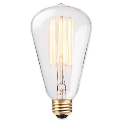 Globe Electric Vintage Edison 60-Watt S-Type Bulb