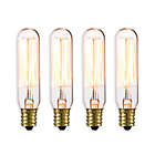 Alternate image 0 for Globe Electric 4-Pack Vintage Edison 40-Watt T-Type Light Bulb