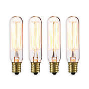 Globe Electric 4-Pack Vintage Edison 40-Watt T-Type Light Bulb