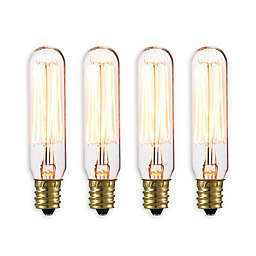 Globe Electric 4-Pack Vintage Edison 40-Watt T-Type Light Bulb