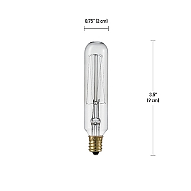 Globe Electric 4-Pack Vintage Edison 40-Watt T-Type Light Bulb. View a larger version of this product image.