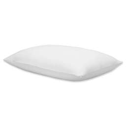 Calvin Klein Modern Cotton Julian Standard Pillow Sham in White