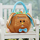 Alternate image 0 for Embroidered Easter Bunny Basket in Blue/Brown