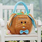 Embroidered Easter Bunny Basket in Blue/Brown