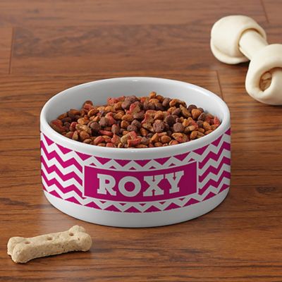 small pet food bowls