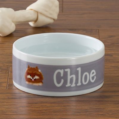 designer ceramic dog bowls