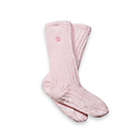 Alternate image 0 for Dream Silk&trade; Cozy Socks&trade; in Pink