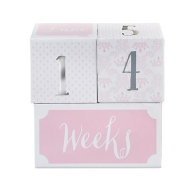 buy buy baby milestone blocks