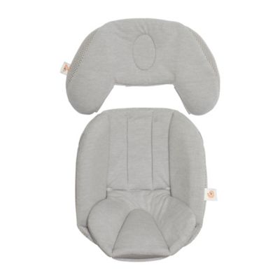 ergobaby reversible stroller