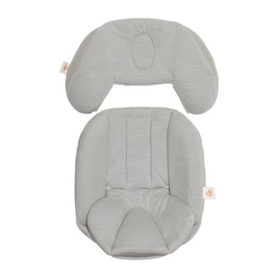 ergobaby 180 stroller car seat