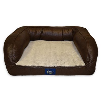 couch pet bed