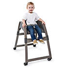 Alternate image 2 for Ingenuity&trade; Boutique Collection 3-in-1 Wood High Chair&trade;