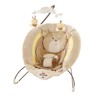 fisher price bear bouncer