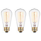 Alternate image 0 for Globe Electric Vintage Edison Light Bulbs