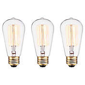 Globe Electric Vintage Edison Light Bulbs