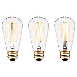 Globe Electric Vintage Edison Light Bulbs