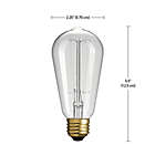 Alternate image 2 for Globe Electric Vintage Edison Light Bulbs