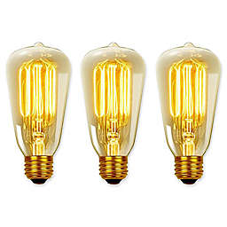 Globe Electric 3-Pack Vintage Edison 40-Watt E26 Bulb