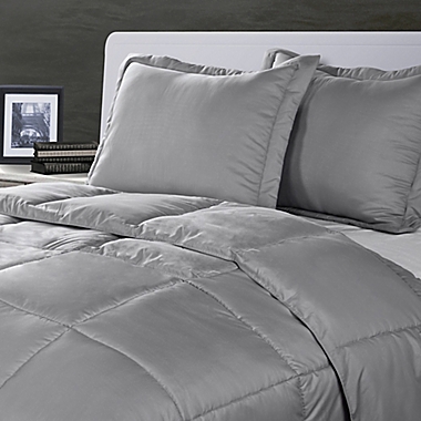 Clean Living Stain/Water Resistant 2-Piece Twin/Twin XL Comforter Set in Silver. View a larger version of this product image.