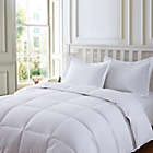 Alternate image 0 for Clean Living Stain and Water Resistant Comforter Set