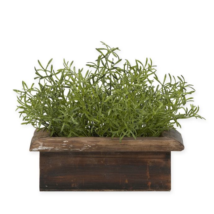D&W Silks Wild Asparagus in Wooden Planter Bed Bath & Beyond