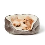 Dog Supplies
