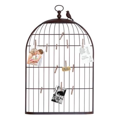 bird in bird cage