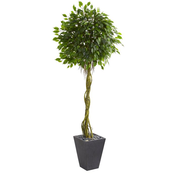 Nearly Natural 6Foot Ficus Tree in Slate Planter Bed Bath & Beyond
