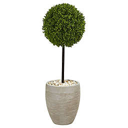 Nearly Natural 3-Foot Boxwood Ball Topiary Tree in Sand Textured Oval Planter