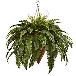 Nearly Natural 26-Inch Giant Boston Fern Hanging Cone Basket