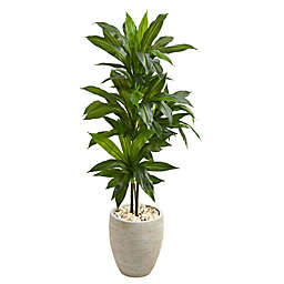 Nearly Natural 4-Foot Real Touch Dracaena in Sand Textured Oval Planter
