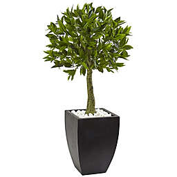 Nearly Natural 3.5-Foot Bay Leaf Topiary Tree