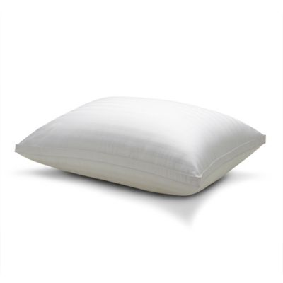 flat pillow for back sleeper