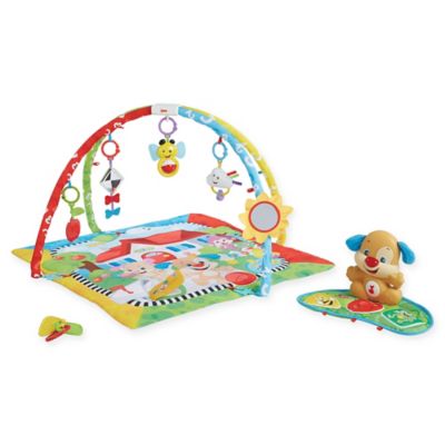 fisher price activity gym