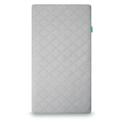 bed bath beyond crib mattress