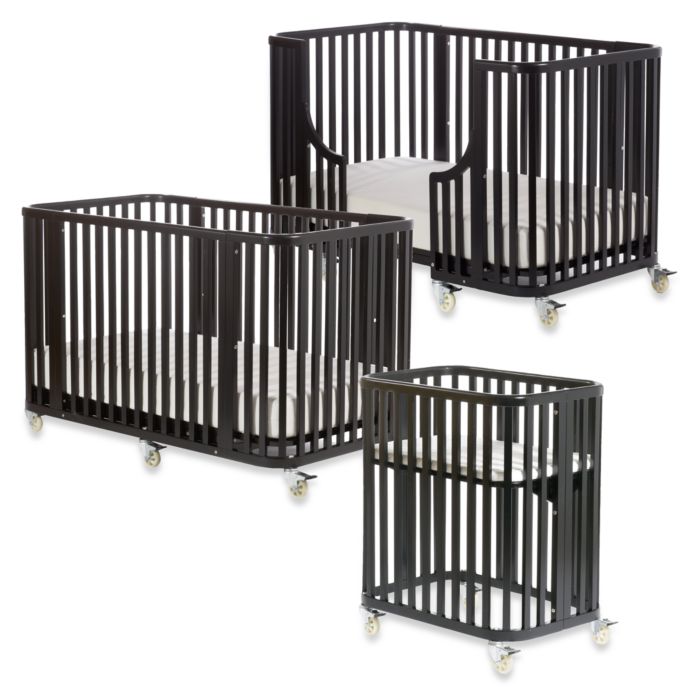 Argington Complete Bam Bam Crib Ebony Buybuy Baby