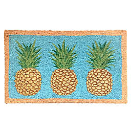 pineapple welcome signs for sale