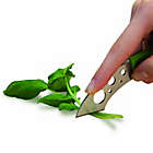 Alternate image 4 for Microplane&reg; Swift Strip Herb and Kale Stripper and Trimmer in Green
