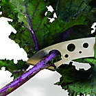 Alternate image 5 for Microplane&reg; Swift Strip Herb and Kale Stripper and Trimmer in Green
