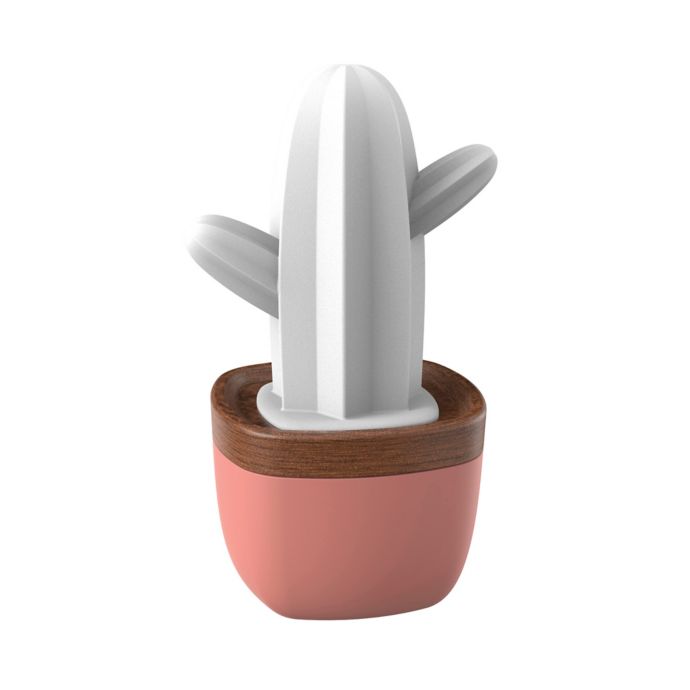 Ellia™ Coastal Cactus Aroma Diffuser with Orange Essential Oil Bed