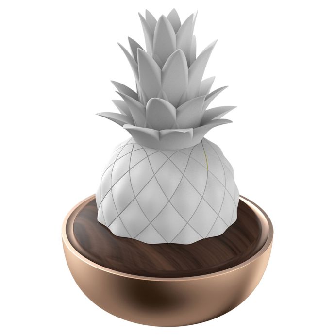 Pineapple Usernames