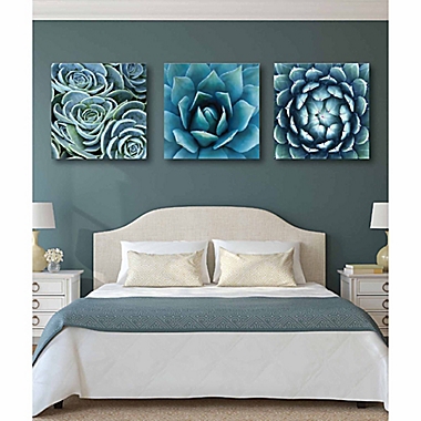 Courtside Market Succulent Canvas 30-Inch x 30-Inch Wall Art (Set of 3). View a larger version of this product image.