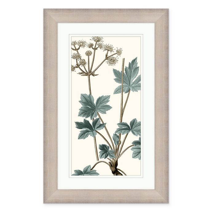 Botanical 2 28Inch x 43Inch Framed Wall Art Bed Bath & Beyond