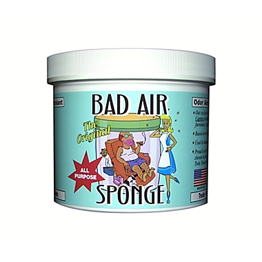 Bad Air Sponge 2 lb.. View a larger version of this product image.