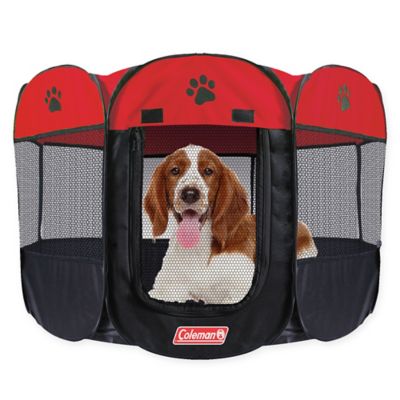 coleman dog cot