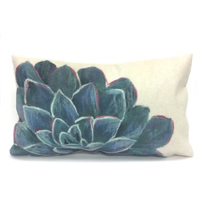 succulent outdoor pillow