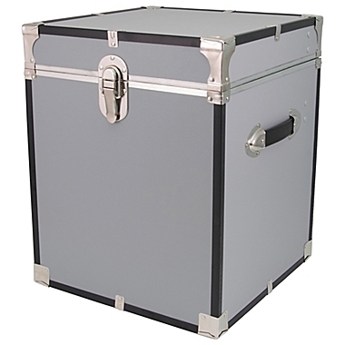 Mercury Luggage Seward Trunk Locker Cube in Alloy. View a larger version of this product image.